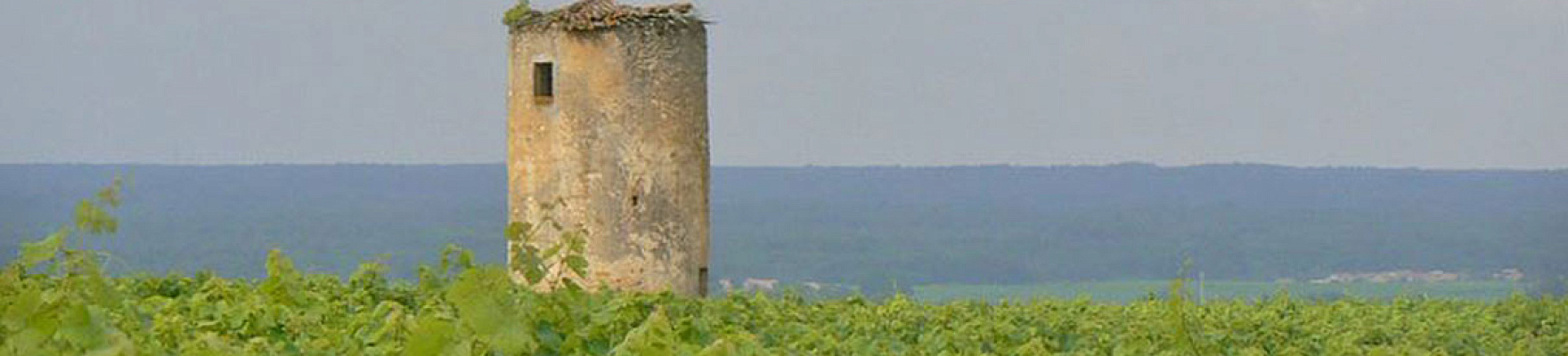 Château La Bertrande