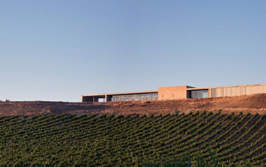 Panorámica de Montepedroso con sus viñas y edificio de bodega