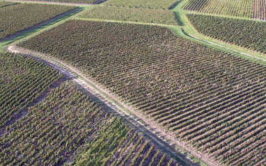 Vista aérea de los viñedos en Pomerol