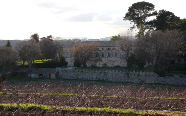 Viñedos de Château de Selle