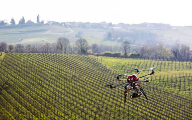 Drones para el seguimiento del viñedo 