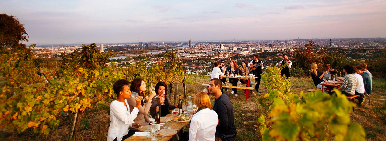 Pistas para descubrir el vino austriaco