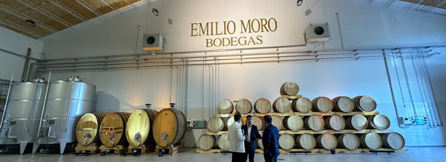 Emilio Moro en el Bierzo: la nueva casa de la Godello