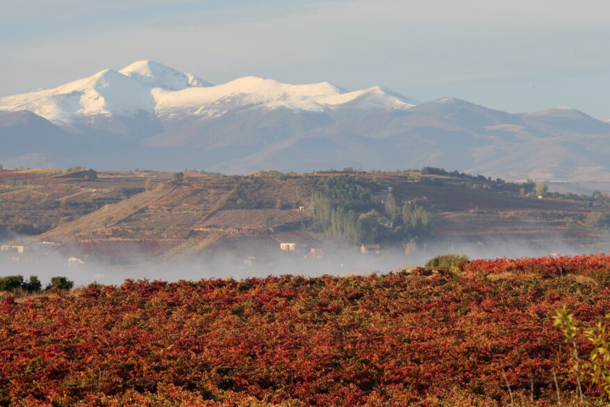 Paisaje nevado en la Rioja Alavesa