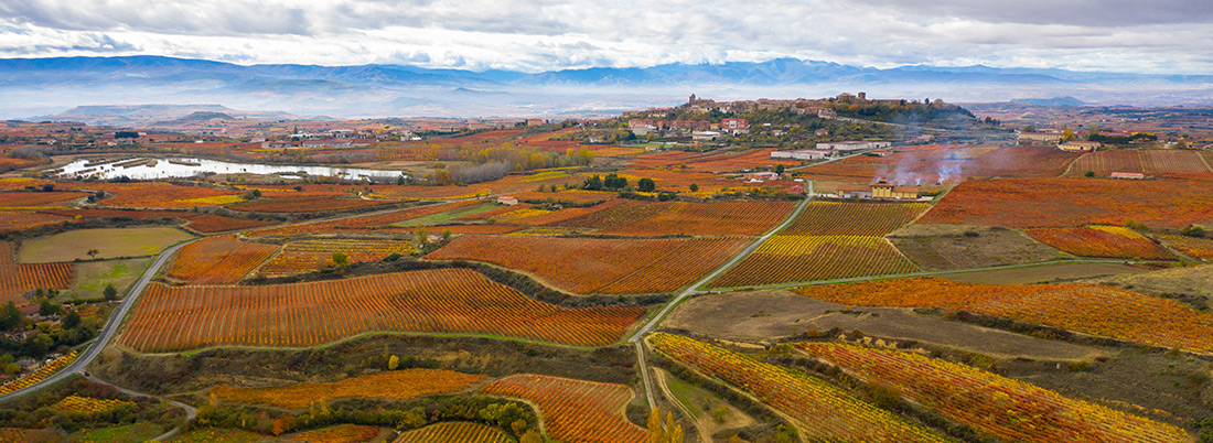 Rioja Alavesa, un camino de sarmientos