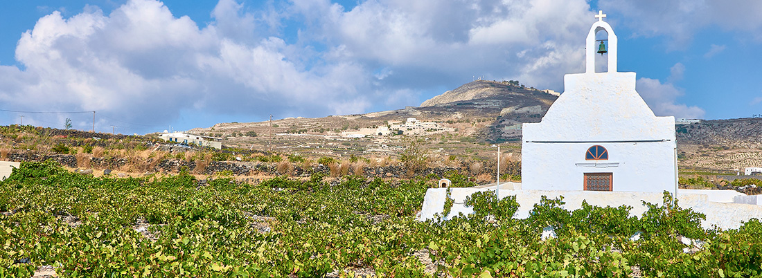 Vinos pasificados: un método ancestral aún en boga