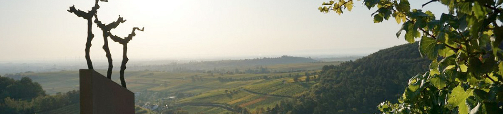 Weingut Ökonomierat Rebholz