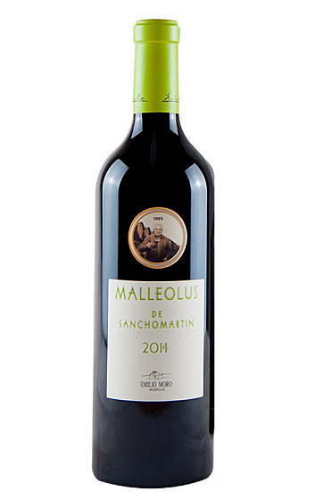 Malleolus de Sanchomartín 2014