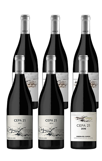 Pack Cepa 21 Cata Vertical (x6)