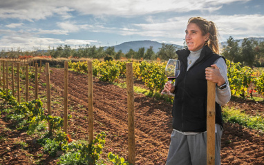 Viñedos en Rioja Oriental