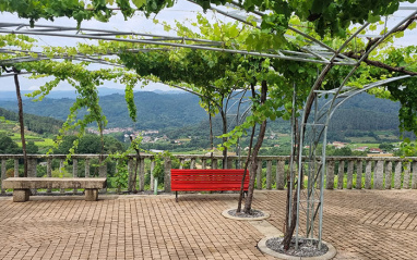 Terraza con vista al viñedo en el valle del Avia