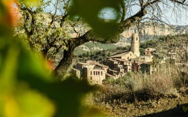 Vista de Viella Alta