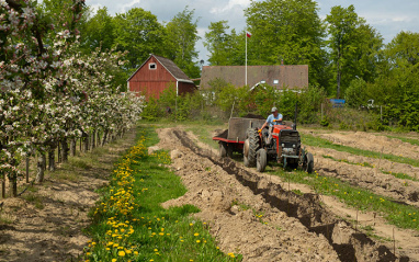 Brännland Cider