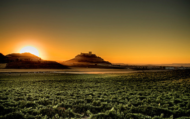 Amanecer en el viñedo