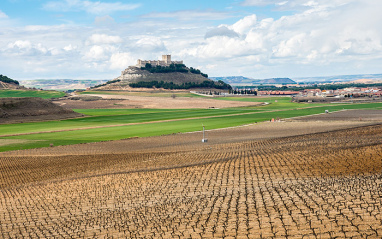 Viñedos cerca de Peñafiel