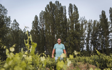 David Hernando en uno de los viñedos de Antídoto