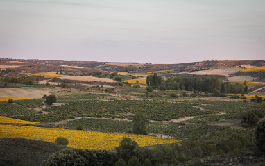 Paisaje en la ribera soriana