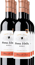 Pinna Fidelis Roble 2020