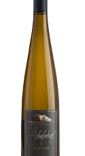 Schieferkopf Riesling Lieu-dit Berg 2016 