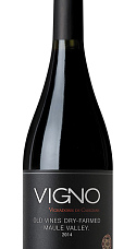 De Martino Vigno Carignan 2014