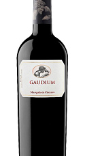 Gaudium 2015