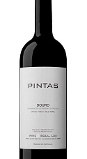 Pintas Douro 2017