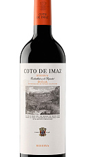 Coto de Imaz Reserva 2015