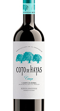 Coto de Hayas Crianza 2016