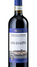 Casa La Gatta 2017