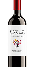 Valsotillo Finca Buenavista 2017