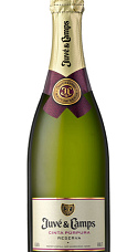 Juvé & Camps Cinta Purpura Reserva Brut