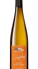 Schieferkopf Riesling Via Saint Jacques 2017