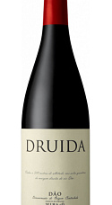 Druida Tinto 2016