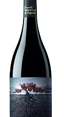 Garnacha Perdida del Pirineo 2019