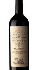 Gran Enemigo El Cepillo Single Vineyard 2018