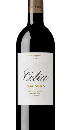 Celia Vizcarra 2019