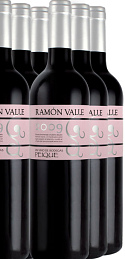 Ramón Valle 2009 (x6)